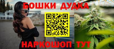 прущие крисы Шахты