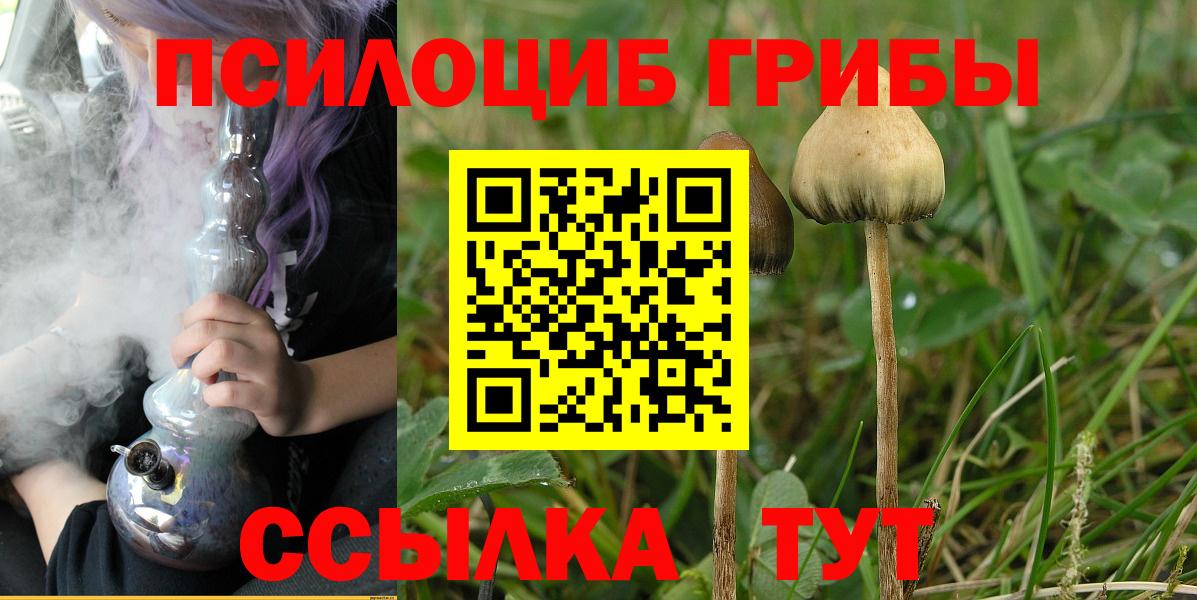 Псилоцибиновые грибы мухоморы Новосибирск